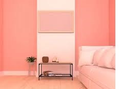 دهانات داخلية الرياض